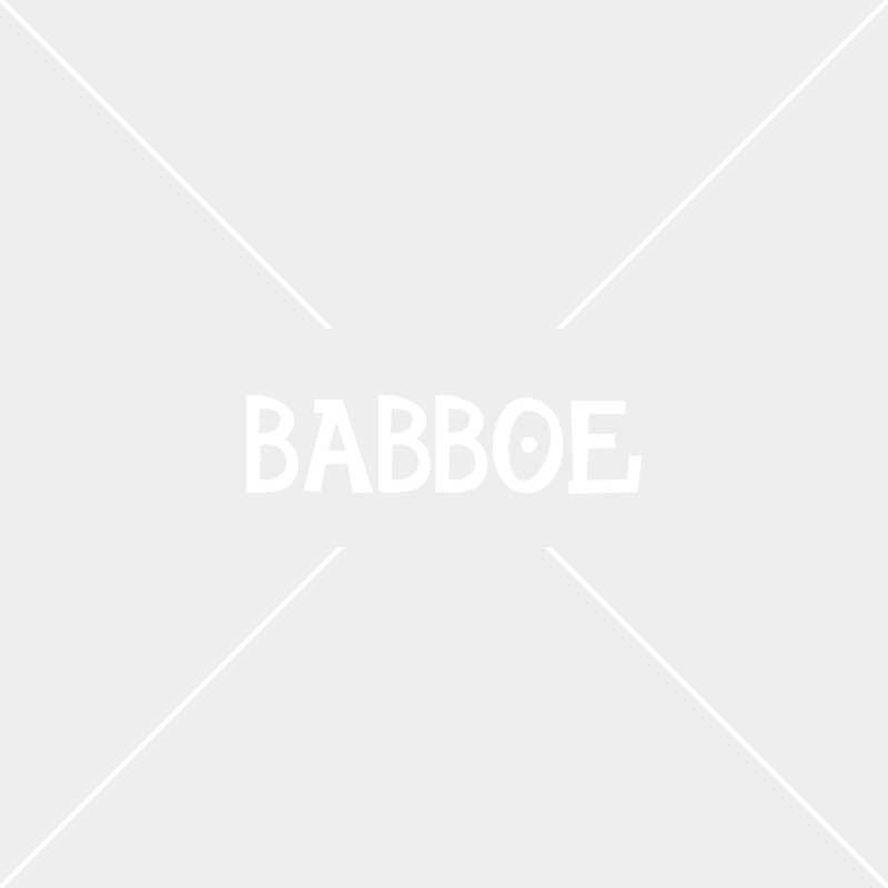 Babboe City cargobike