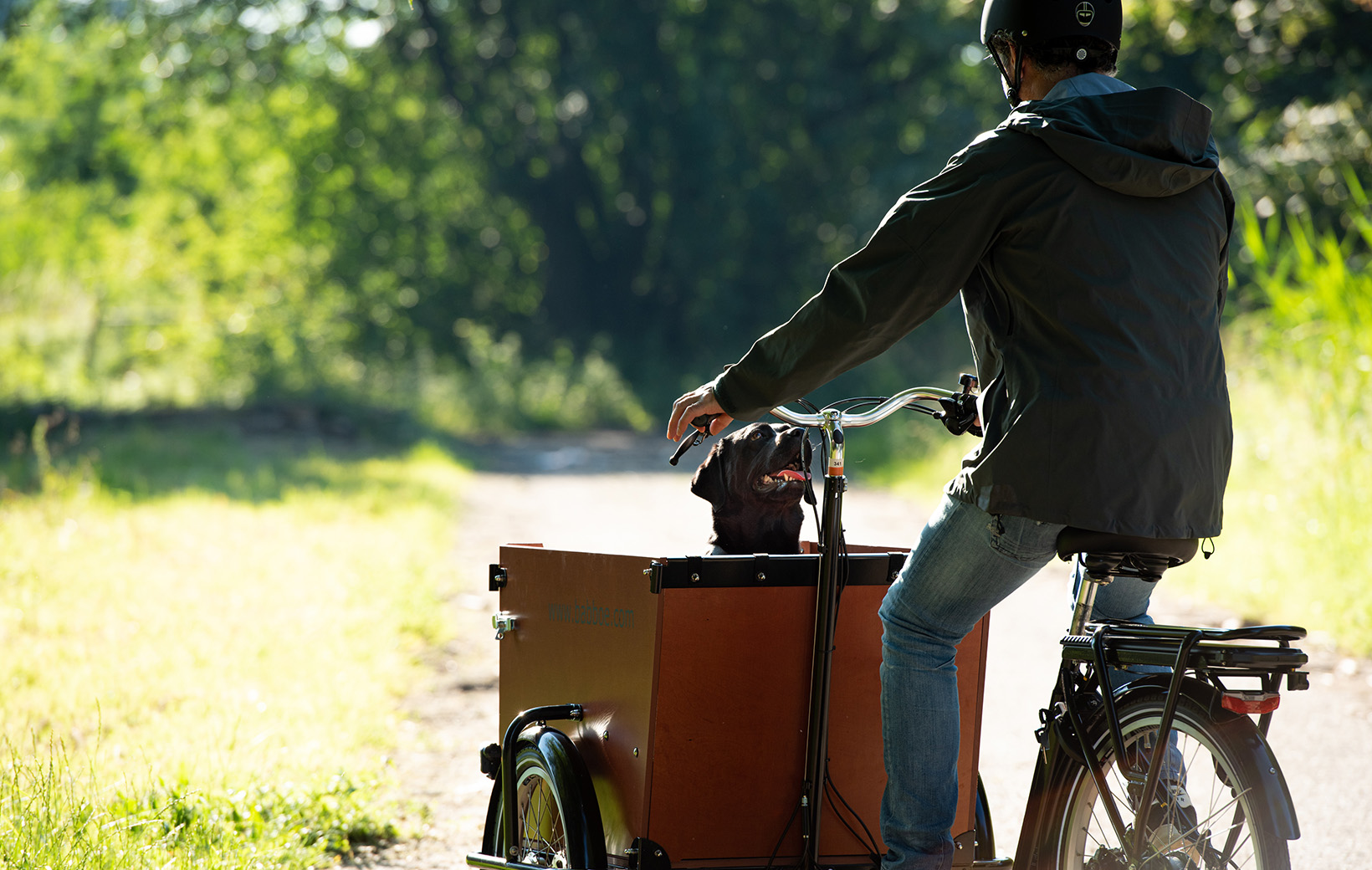 Babboe dog bike sale