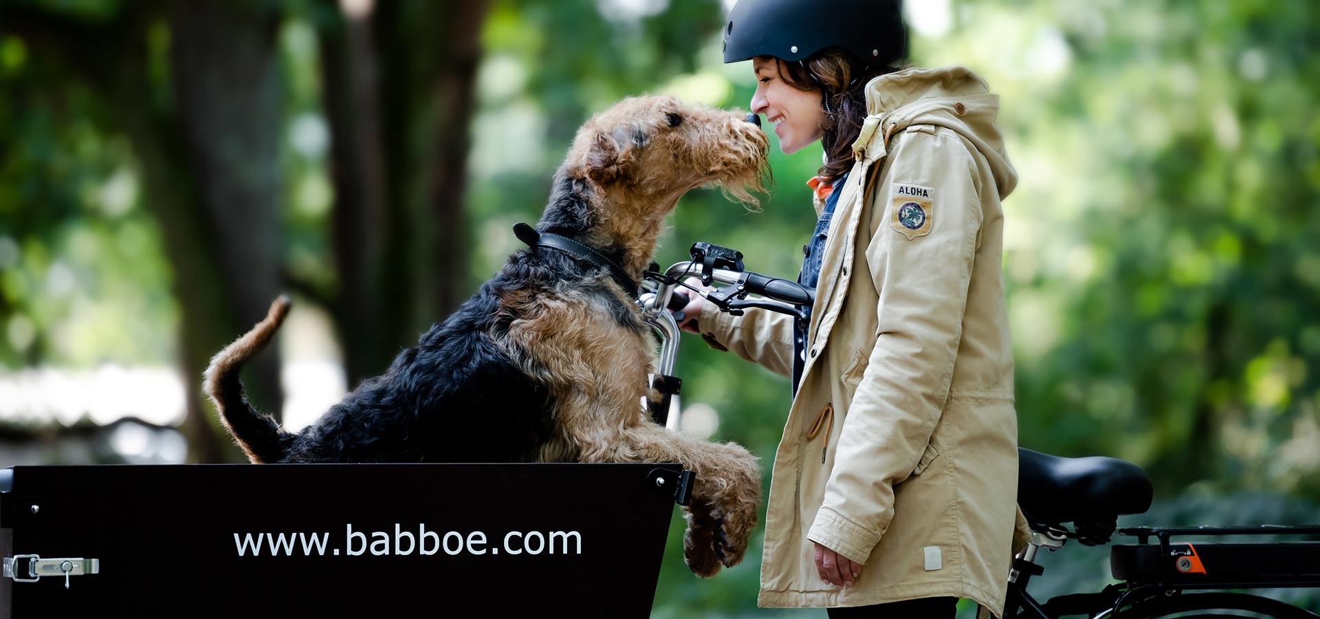 Babboe Dog