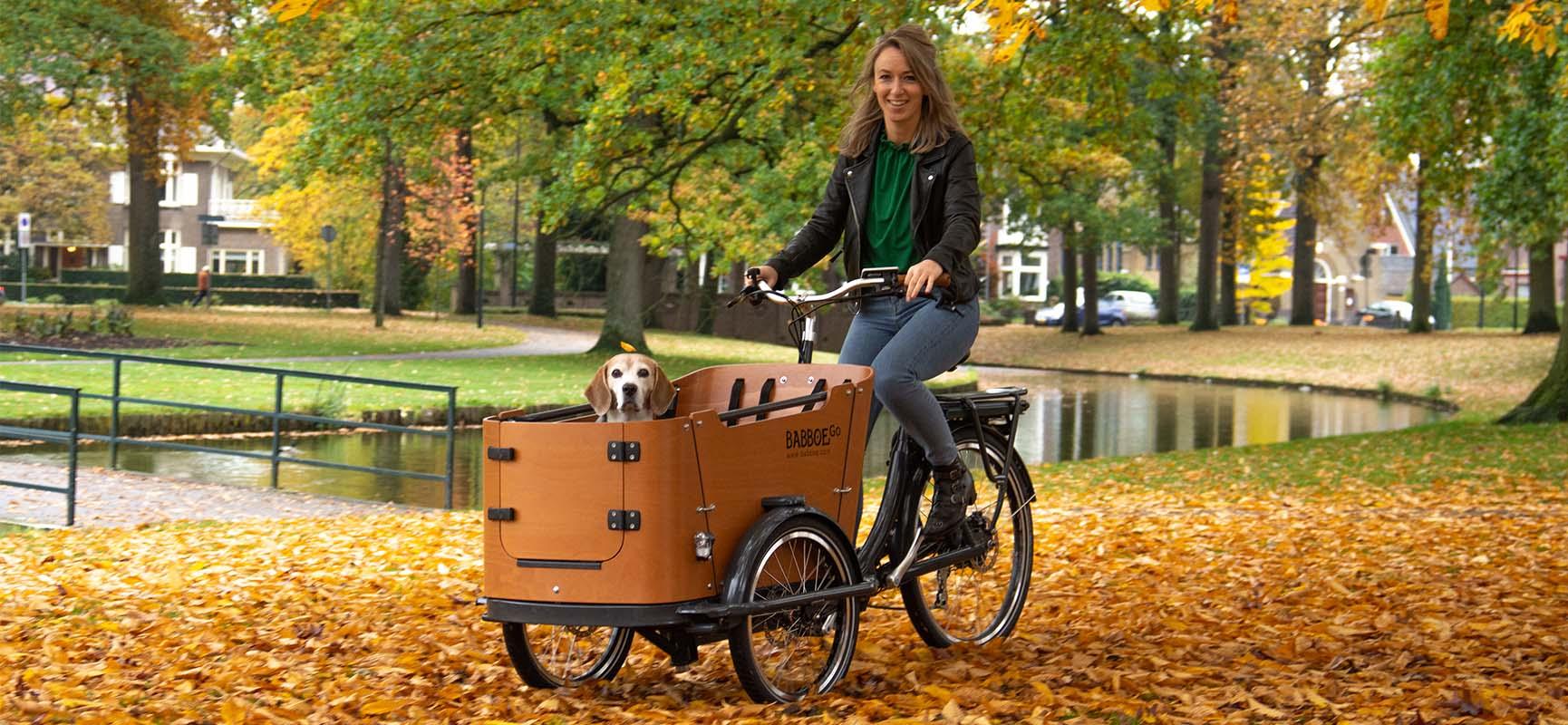 Babboe cheap electric bike