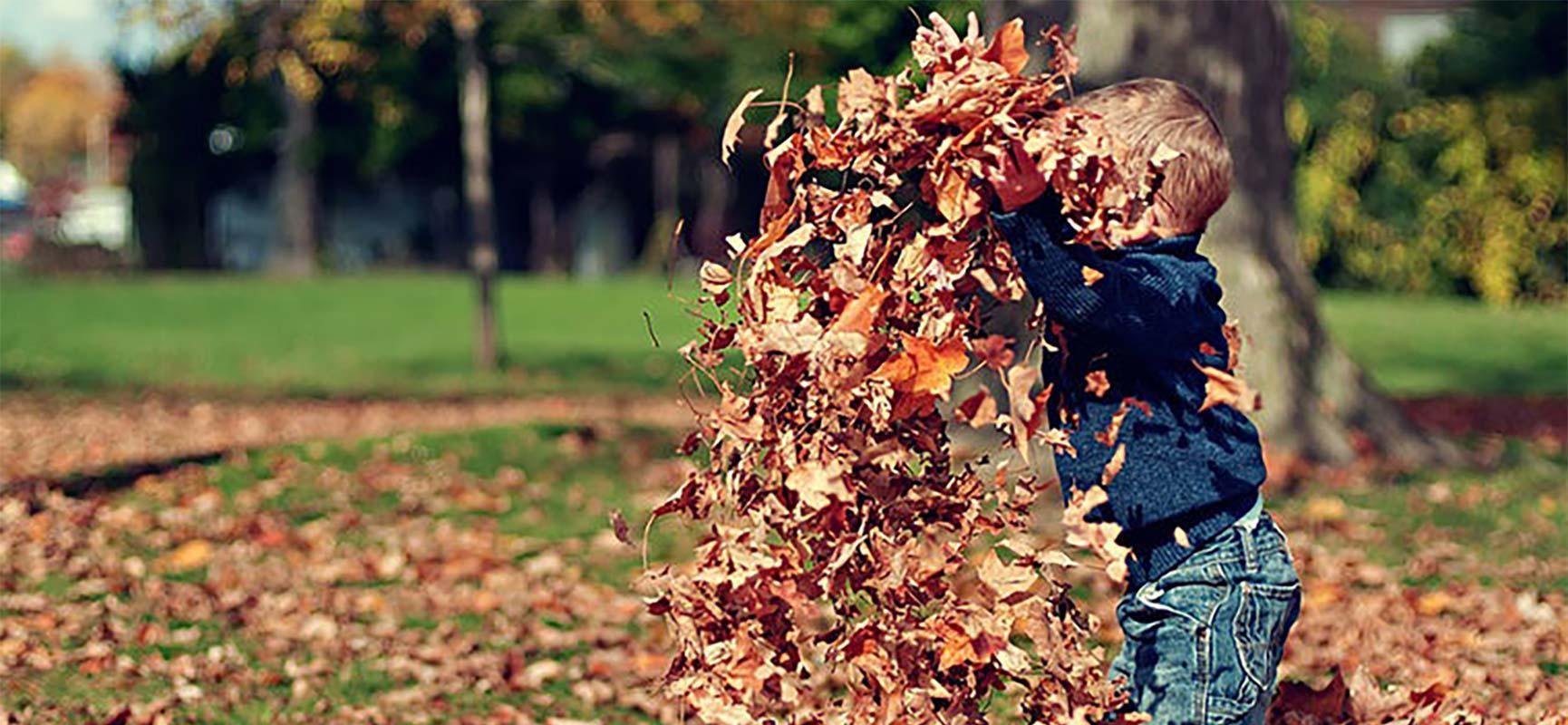 Outdoor activities in autumn