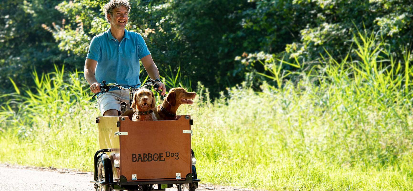biking with dogs