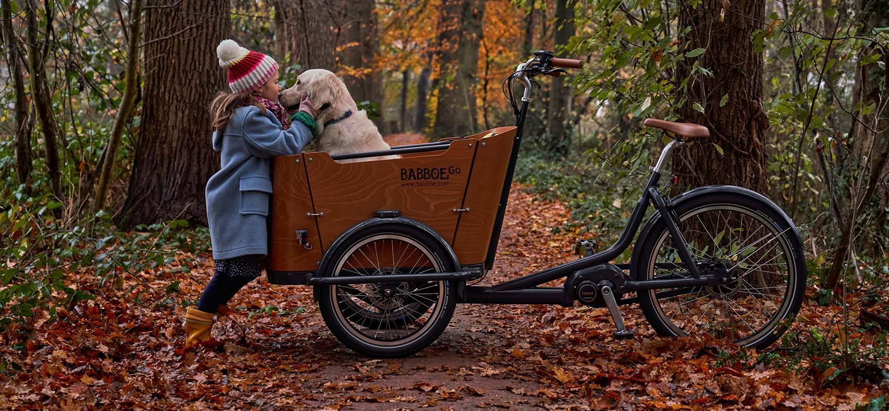 Cargo bike for dogs