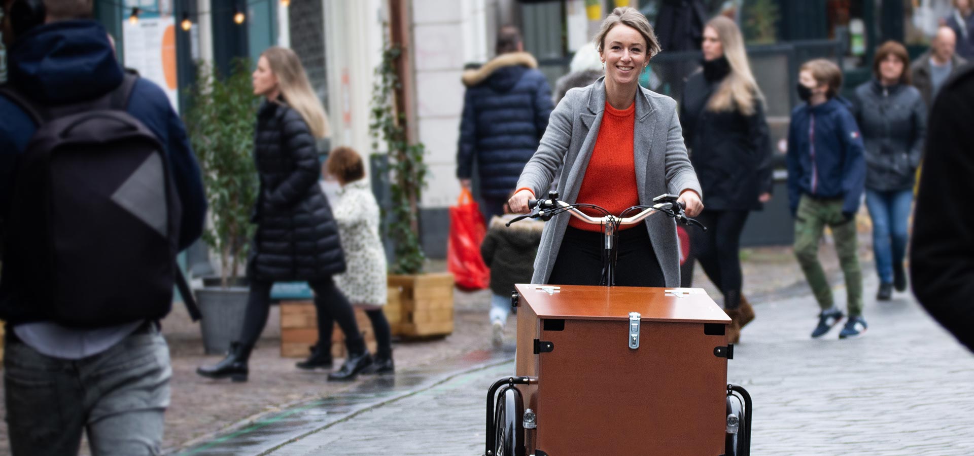 cargo trike cargo trike