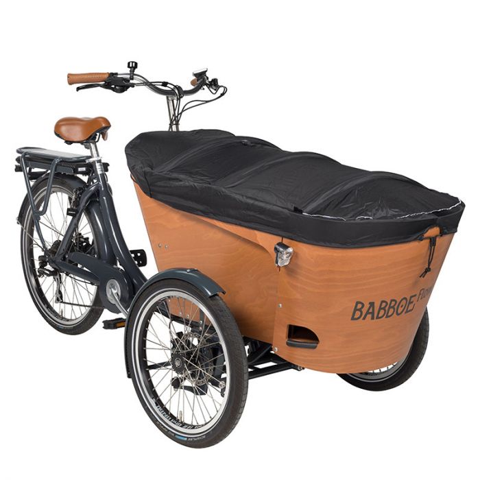 Babboe carve shop mountain test