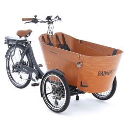 Babboe dog electric cargo bike 2025