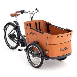 Velo electrique best sale cargo bike