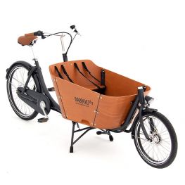 Best non electric cargo bike clearance