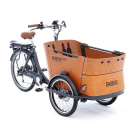 Front cart bike 2025
