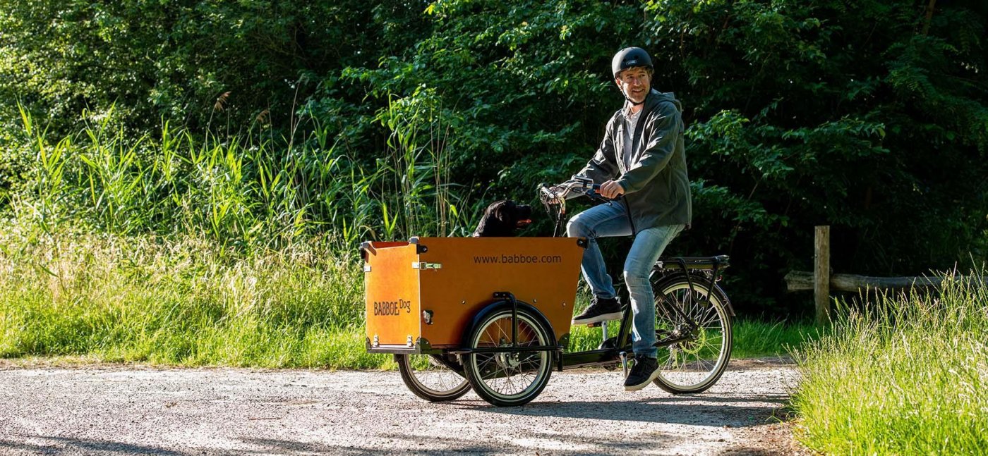 babboe dog electric cargo bike