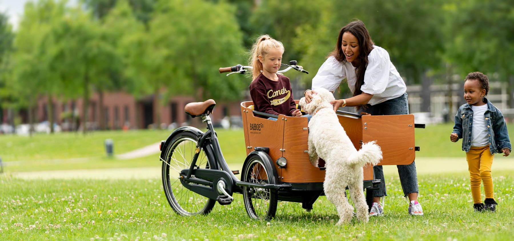 babboe dog electric cargo bike